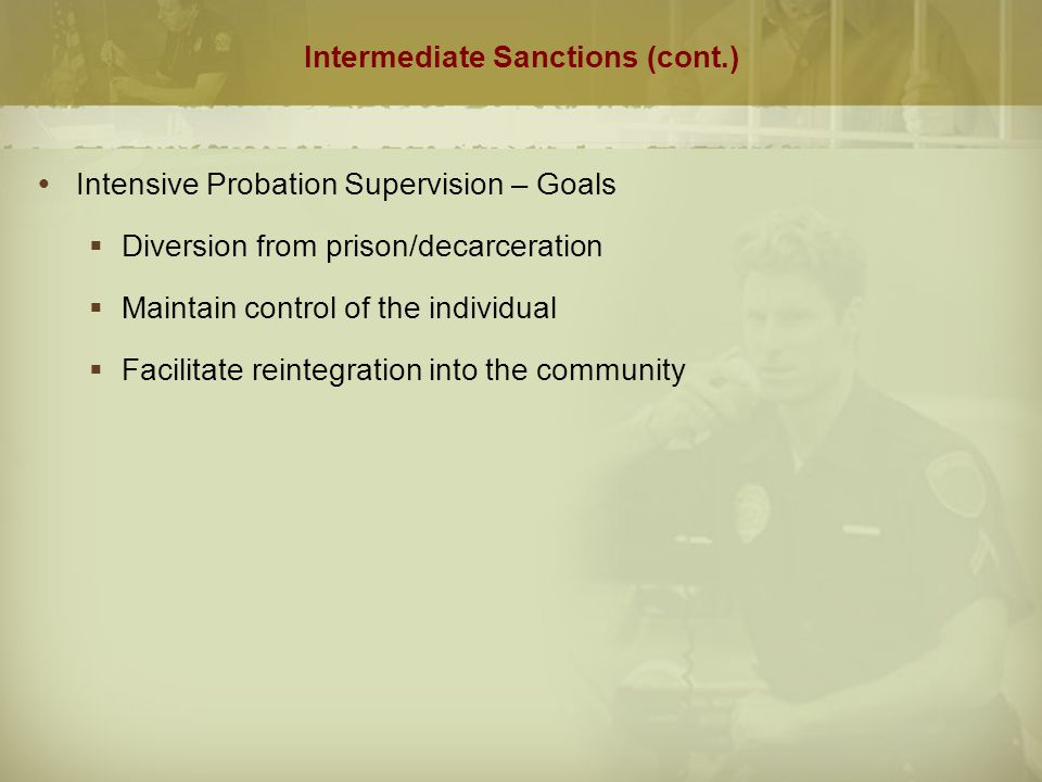 Intermediate sanctions and shock probation essay